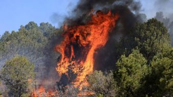 Forest Service says it started all of New Mexico’s largest wildfire
