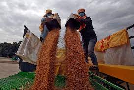 Indian govt didn’t halt wheat export officially: Food minister Sadhan Chandra
