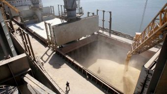 Ukraine grain exports capped at 2m tonnes/month if ports remain blocked